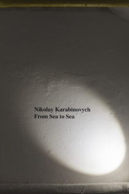 Nikolay Karabinovych