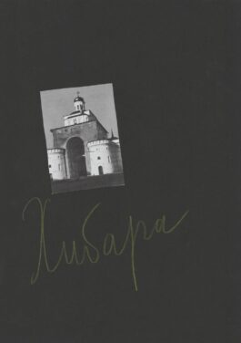 Nikolay Karabinovych