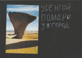 Nikolay Karabinovych
