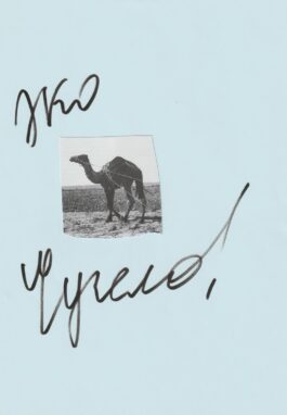 Nikolay Karabinovych